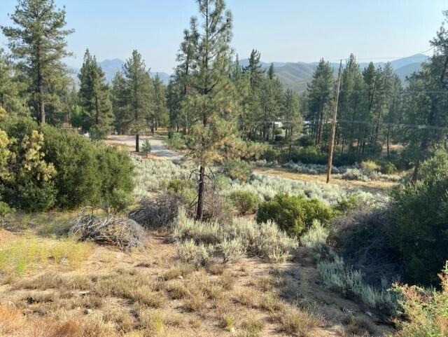 Lot 27 Pipe Creek Road Property Photo 2