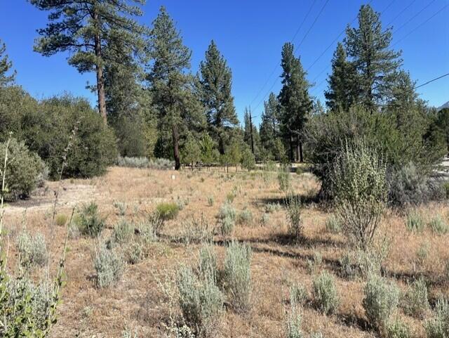 Lot 27 Pipe Creek Road Property Photo 5