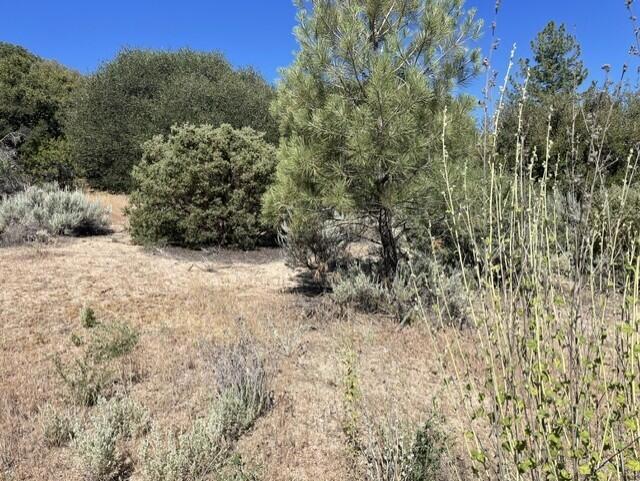Lot 27 Pipe Creek Road Property Photo 6