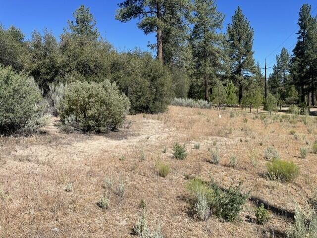 Lot 27 Pipe Creek Road Property Photo 8