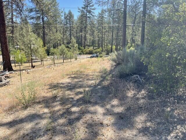 Lot 27 Pipe Creek Road Property Photo 9