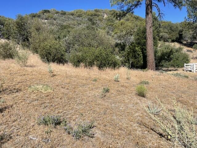Lot 27 Pipe Creek Road Property Photo 10