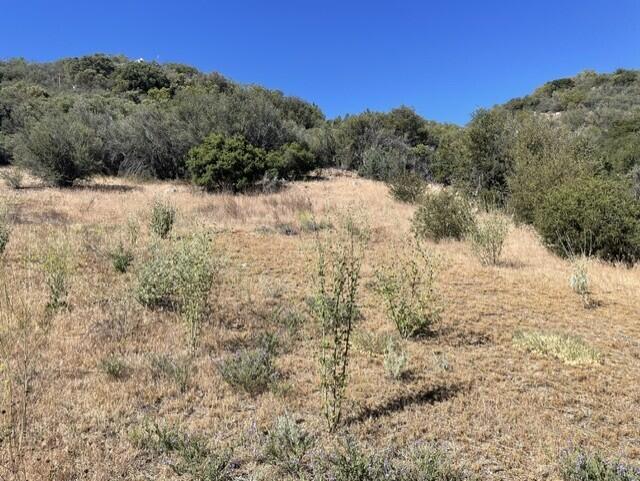 Lot 27 Pipe Creek Road Property Photo 11