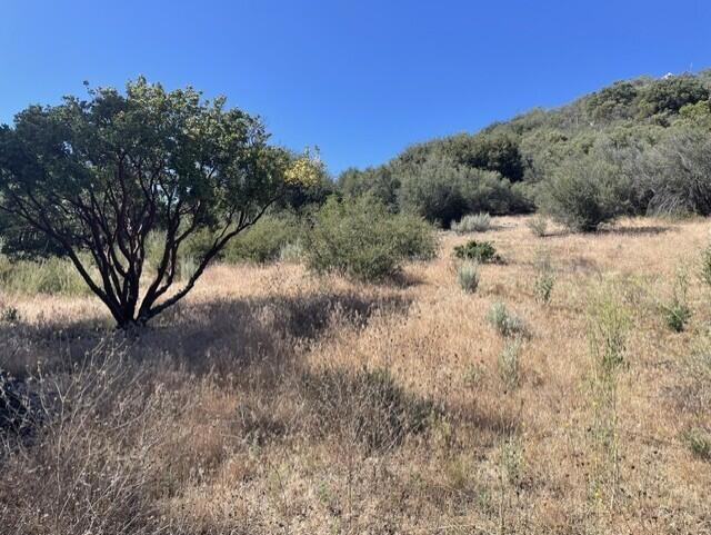 Lot 27 Pipe Creek Road Property Photo 12