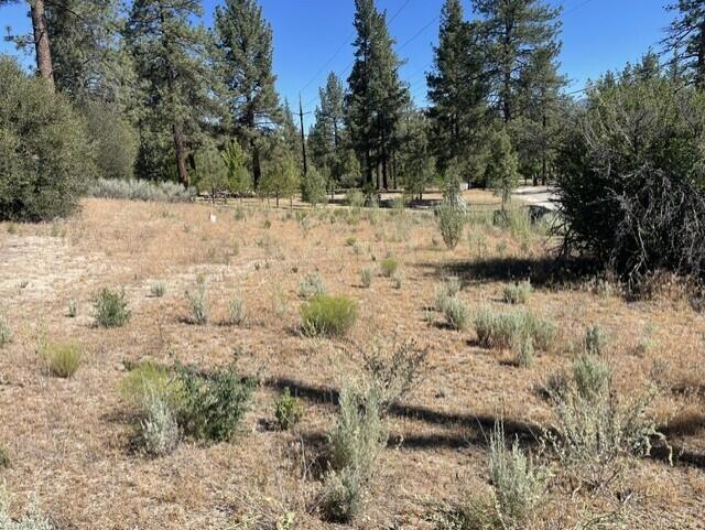 Lot 27 Pipe Creek Road Property Photo 14