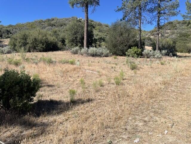 Lot 27 Pipe Creek Road Property Photo 15
