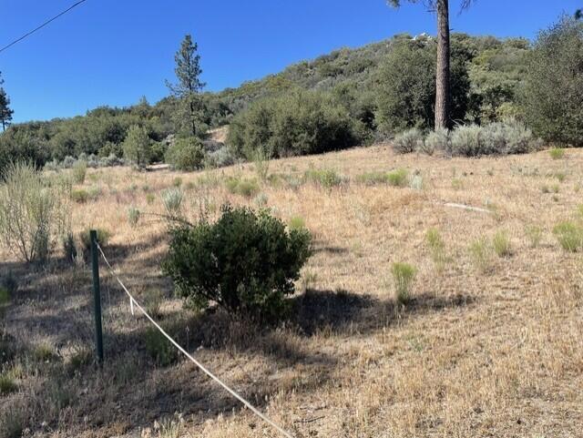 Lot 27 Pipe Creek Road Property Photo 16