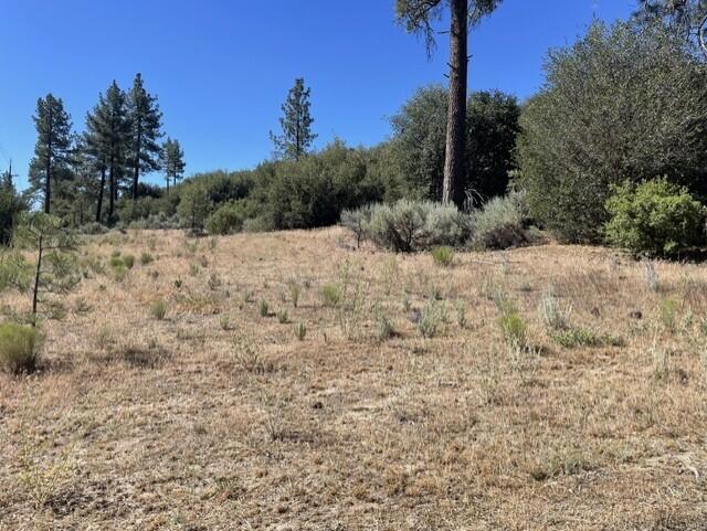 Lot 27 Pipe Creek Road Property Photo 17