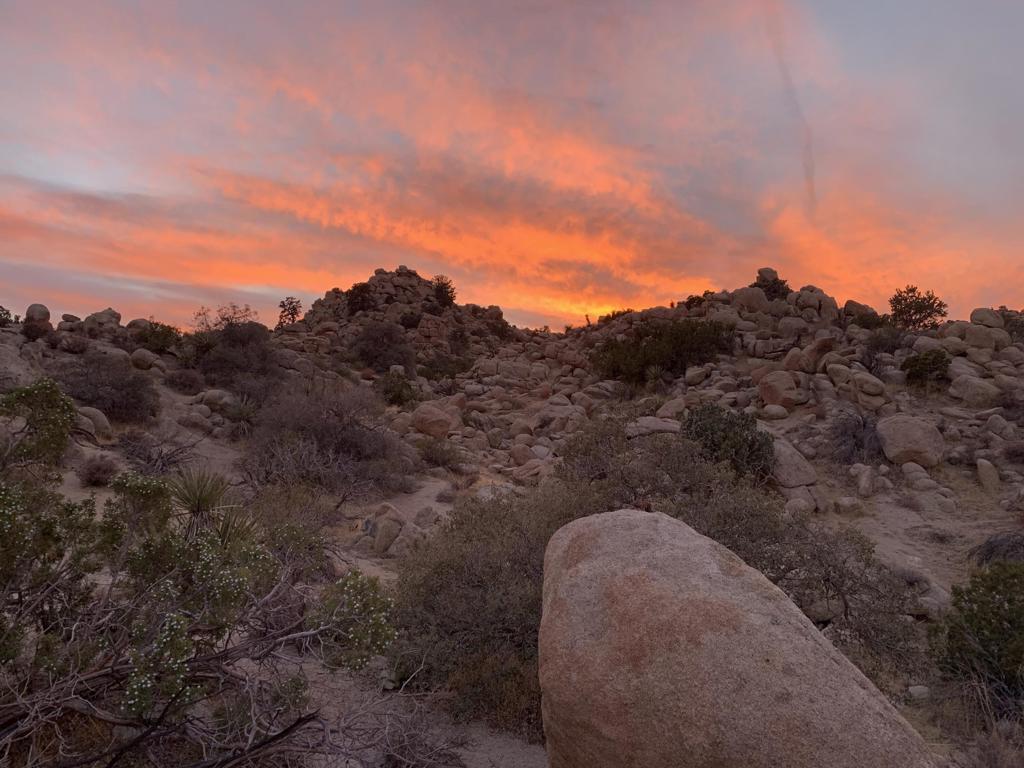5850 Cactus Canyon Trail Property Photo 4