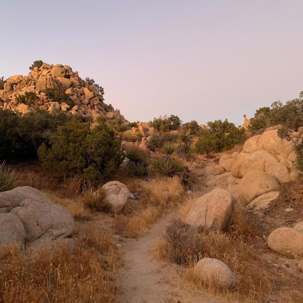 5850 Cactus Canyon Trail Property Photo 5