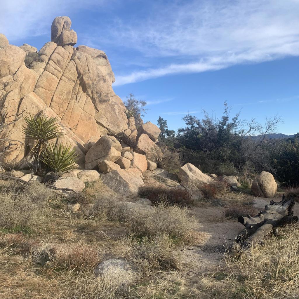 5850 Cactus Canyon Trail Property Photo 8
