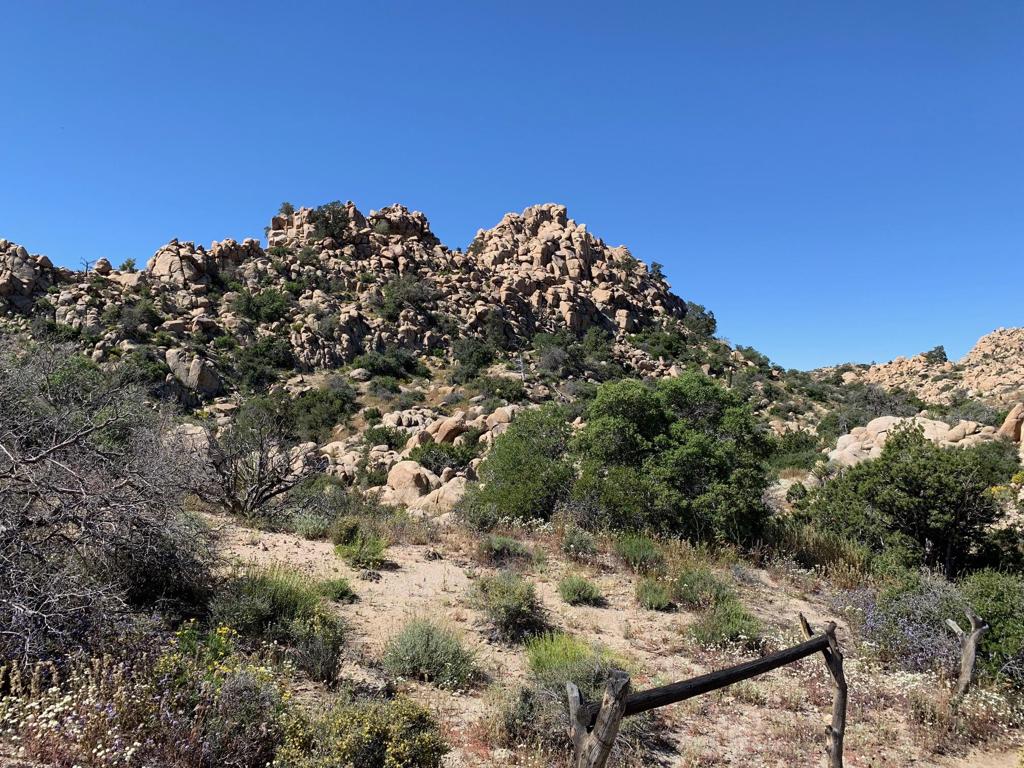 5850 Cactus Canyon Trail Property Photo 11
