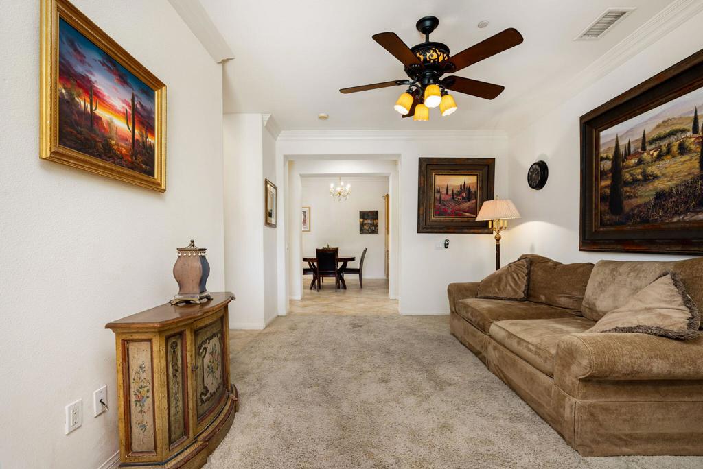 4172 Via Mattina Property Photo 23