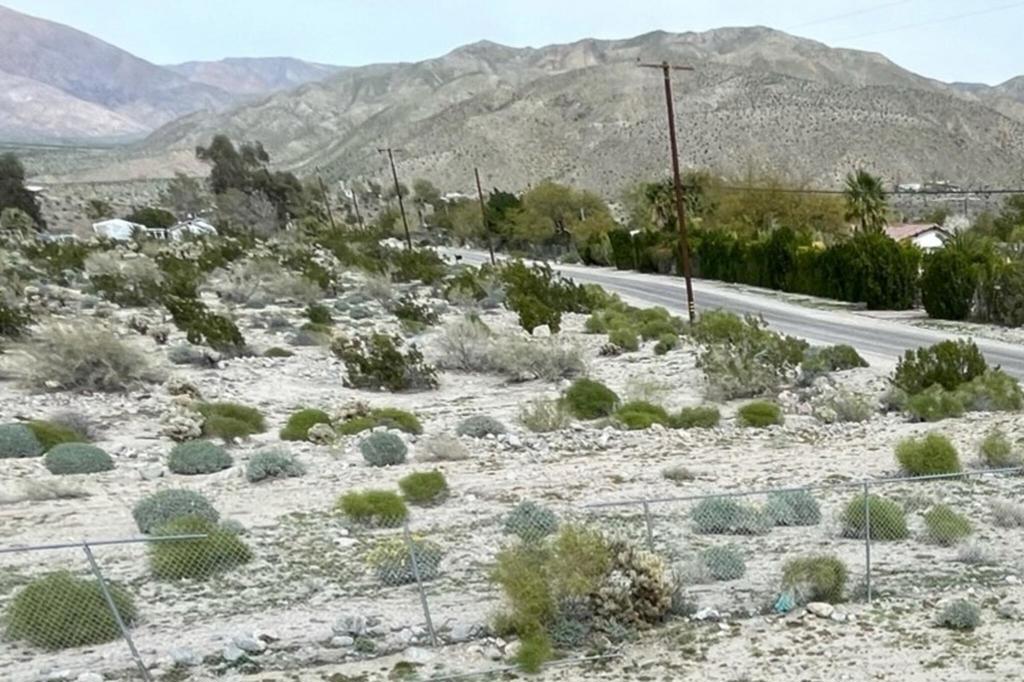 28981 Desert Charm Road Property Photo 7