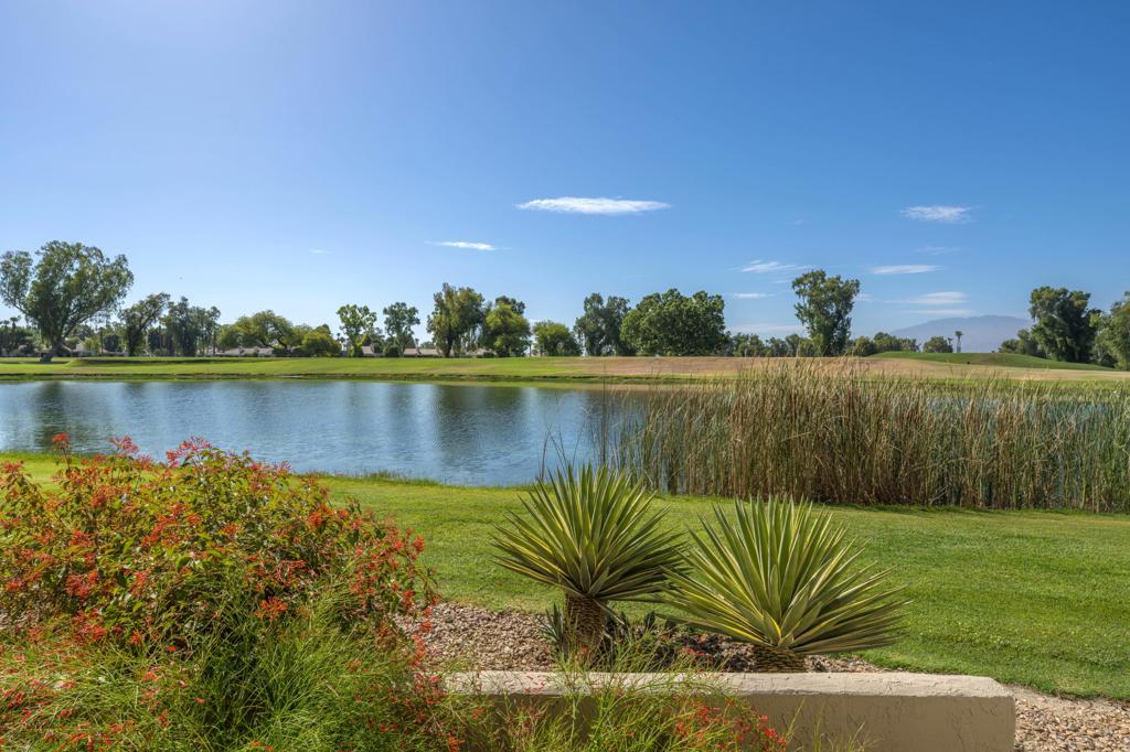 35018 Mission Hills Drive Property Photo 37
