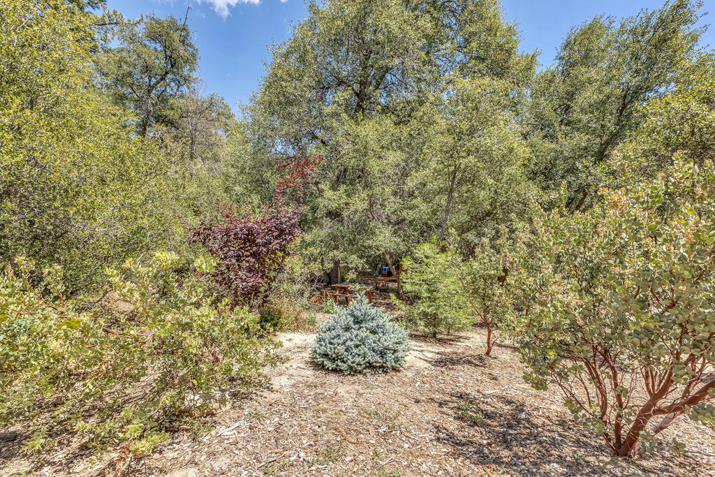 54425 Jameson Drive Property Photo 84