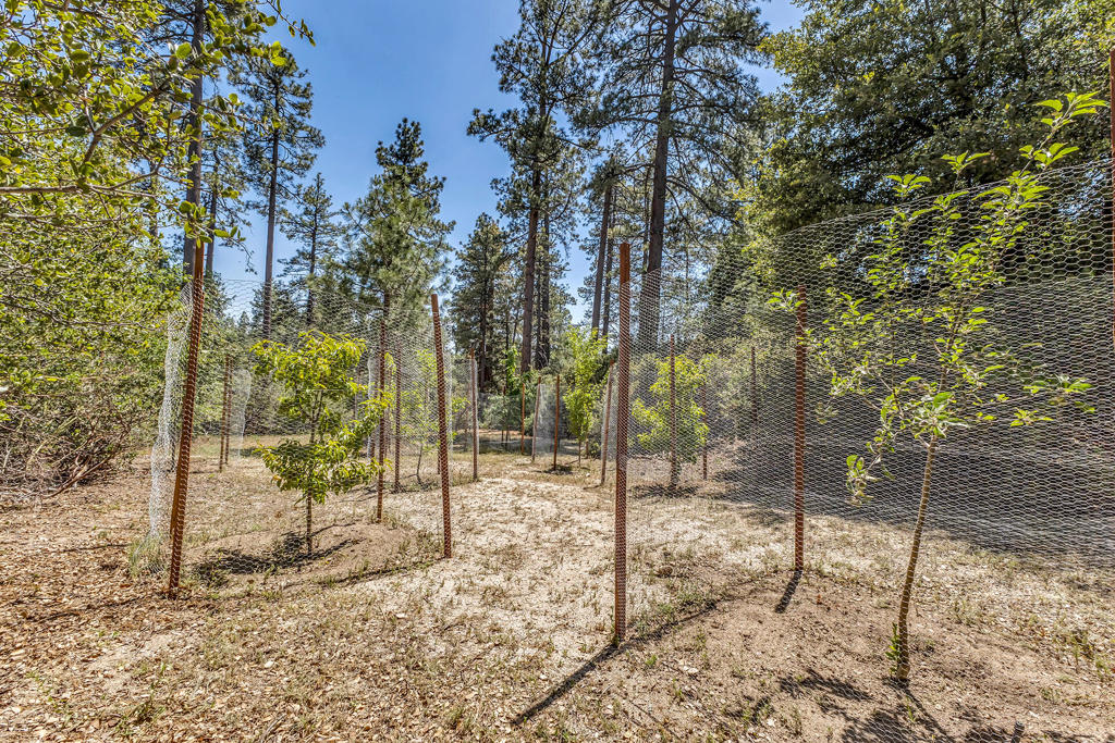 54425 Jameson Drive Property Photo 87