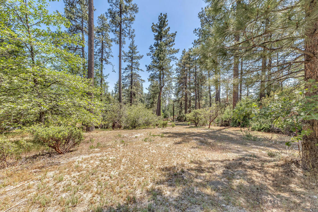 54425 Jameson Drive Property Photo 88
