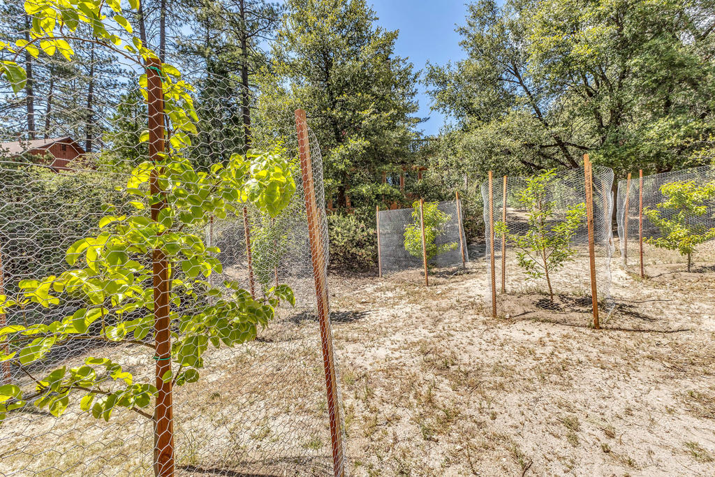 54425 Jameson Drive Property Photo 89