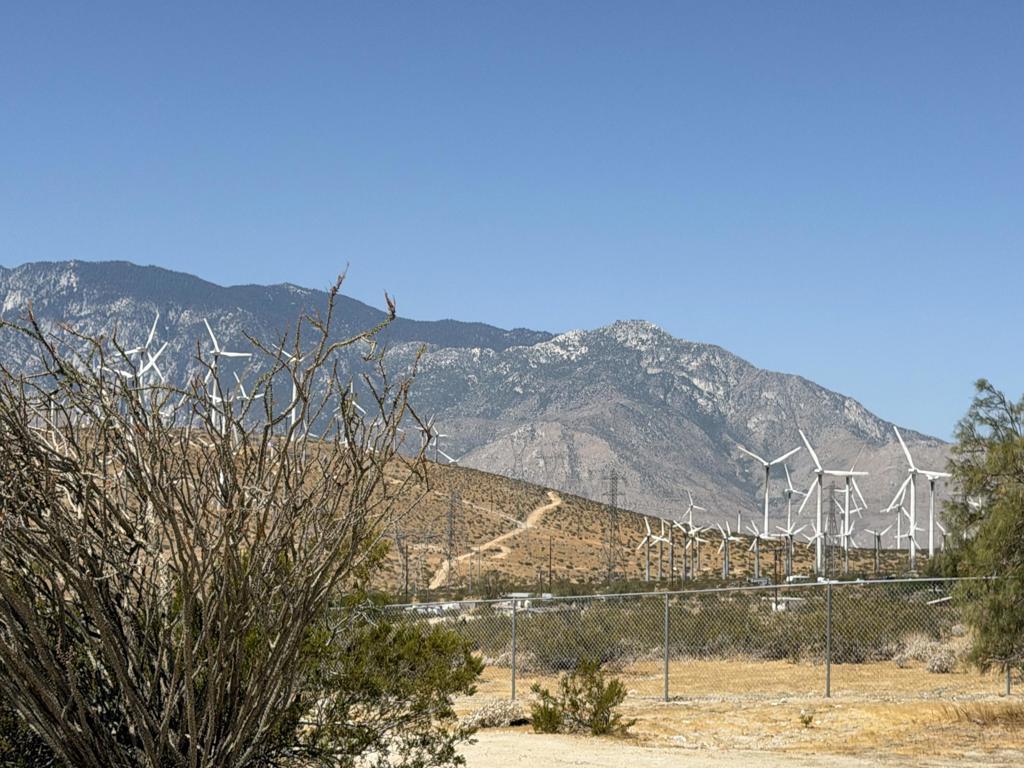 15236 Painted Hills Road Property Photo 41