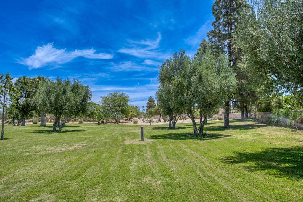 1190 Sunflower Lane Property Photo 35