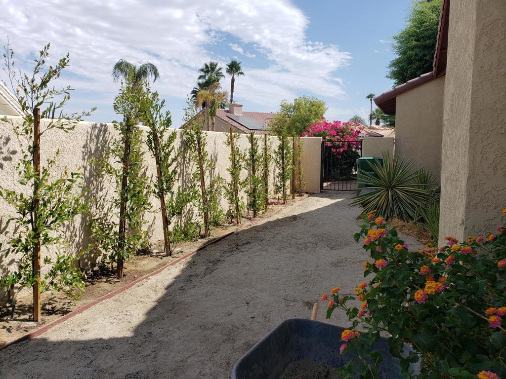 68412 Descanso Circle Property Photo 38