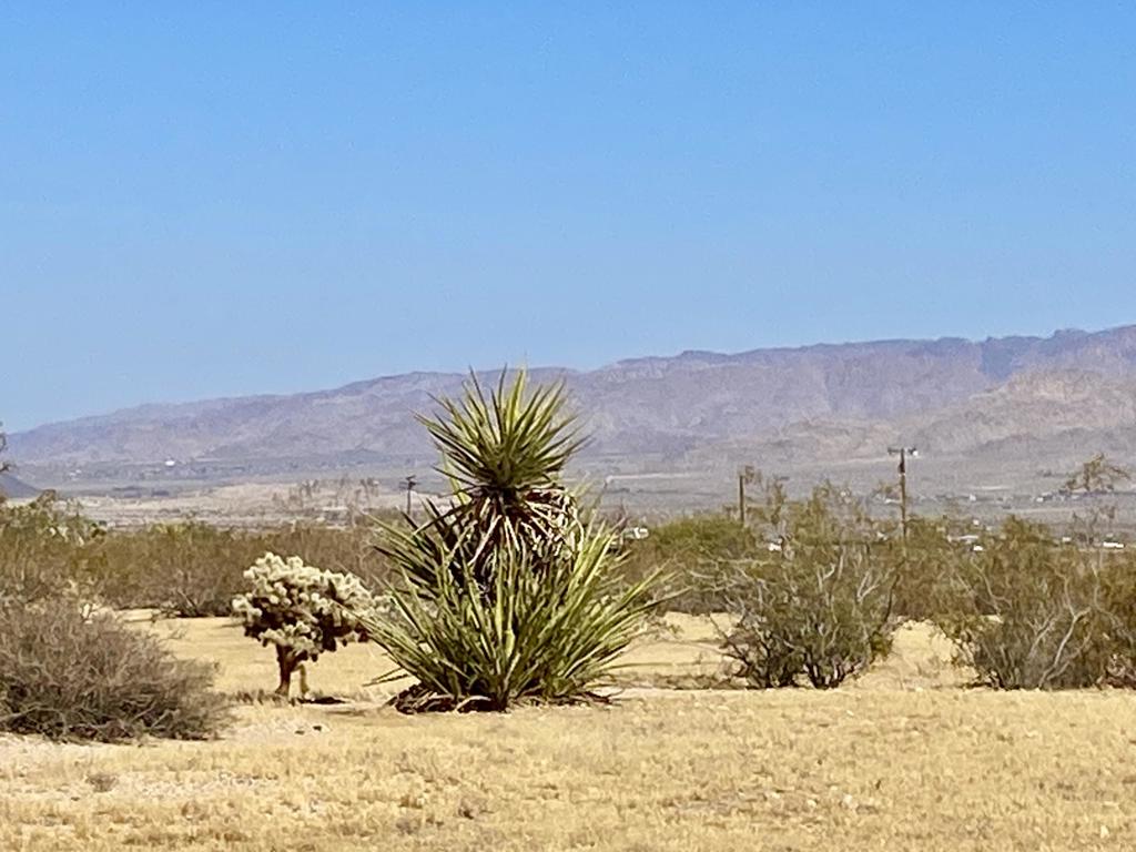 4225 Benji Avenue Property Photo 39