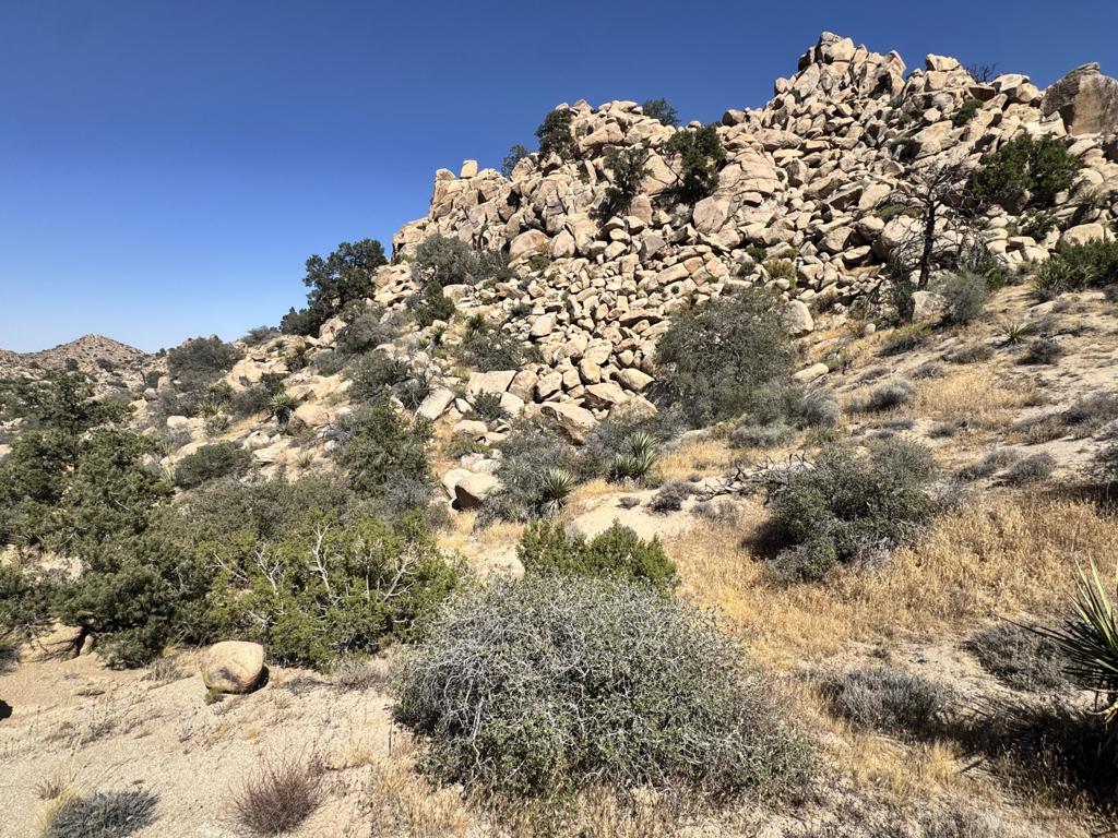 5990 Acoma Trail Property Photo 6