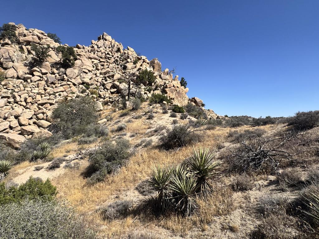 5990 Acoma Trail Property Photo 7