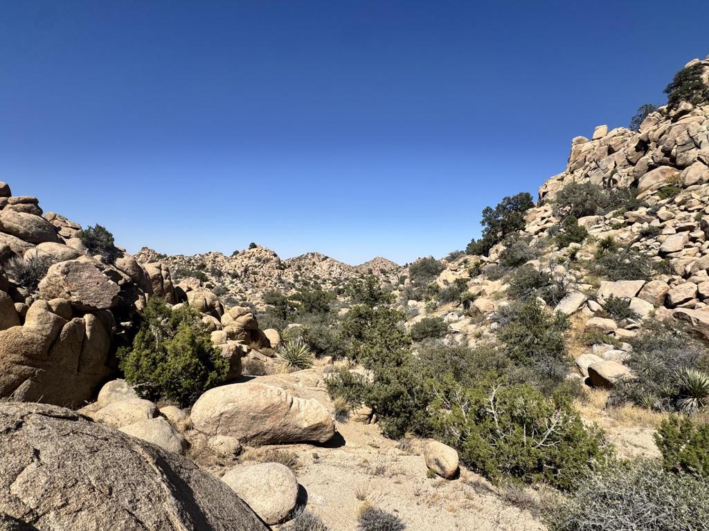 5990 Acoma Trail Property Photo 8
