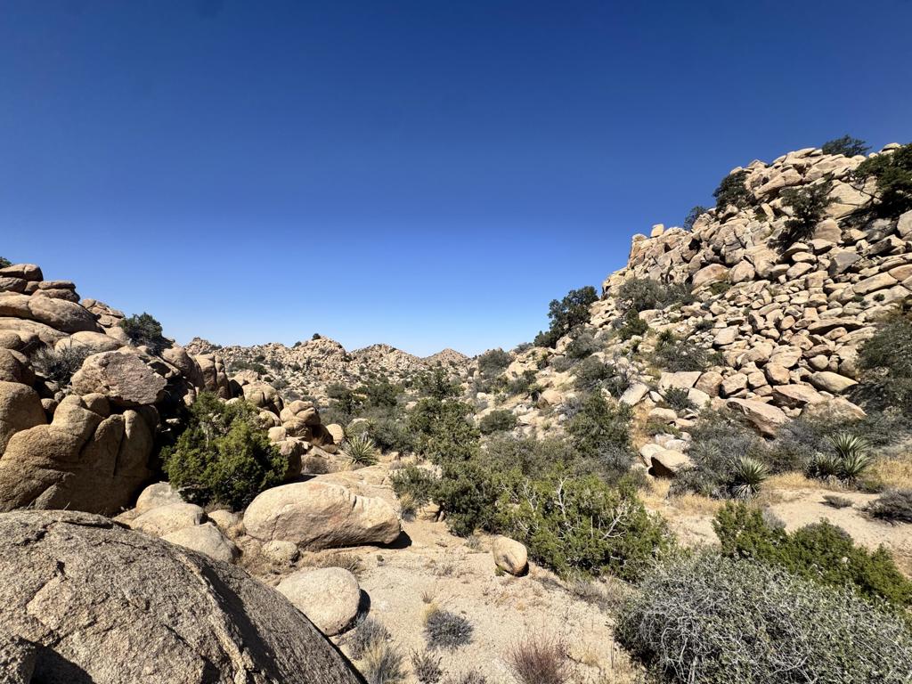 5990 Acoma Trail Property Photo 9