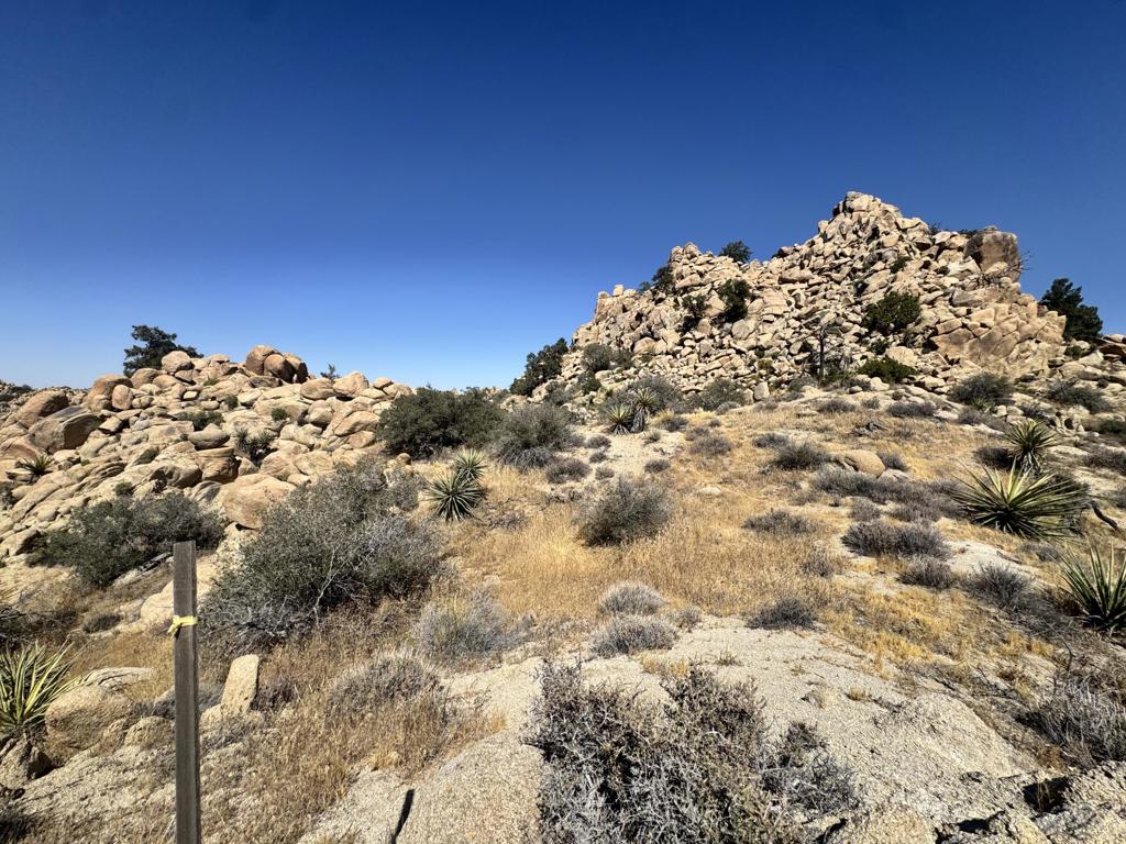 5990 Acoma Trail Property Photo 10