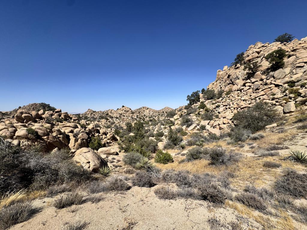 5990 Acoma Trail Property Photo 12