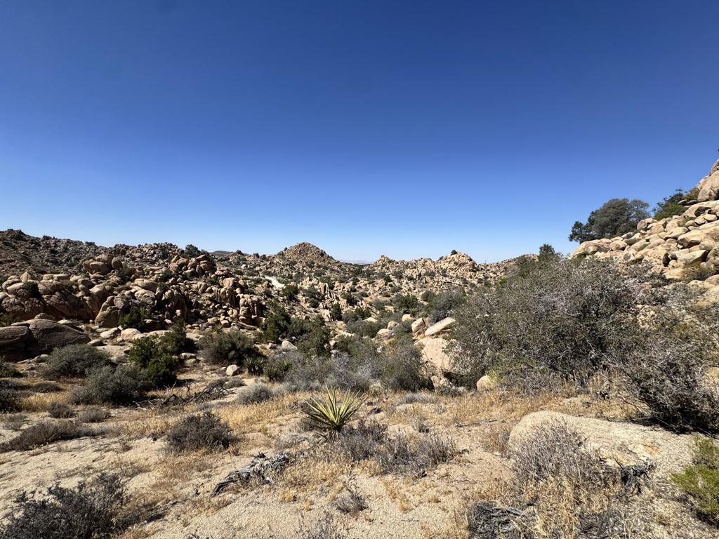 5990 Acoma Trail Property Photo 13