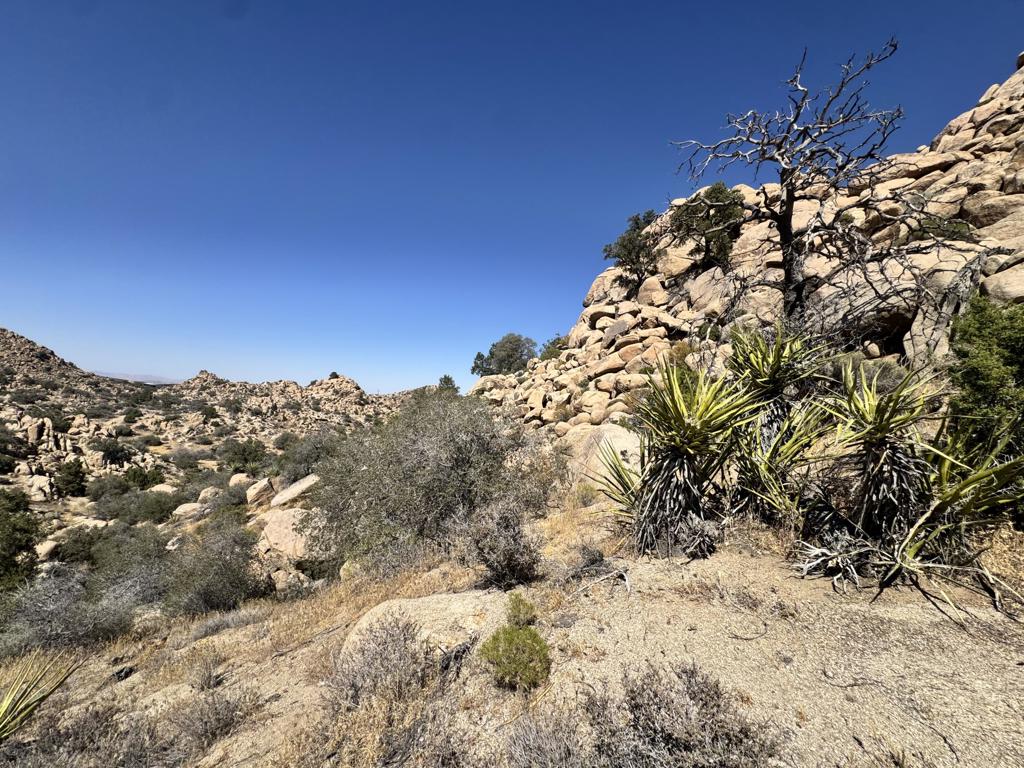 5990 Acoma Trail Property Photo 14