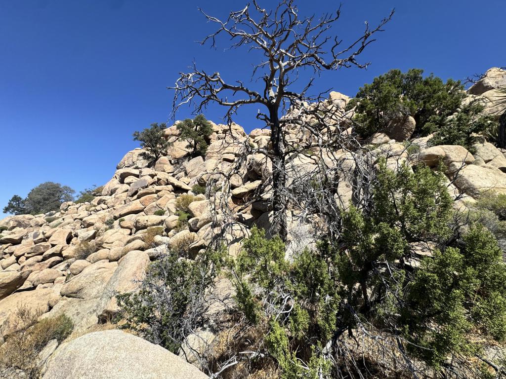 5990 Acoma Trail Property Photo 15