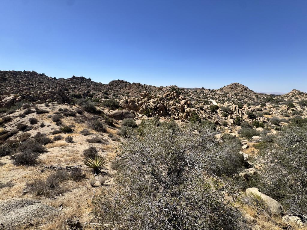 5990 Acoma Trail Property Photo 16