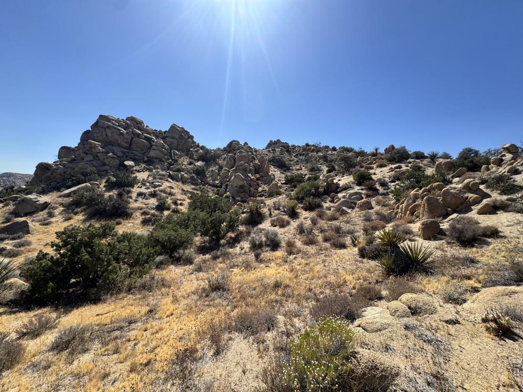5990 Acoma Trail Property Photo 18