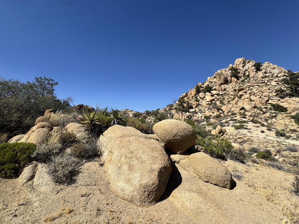 5990 Acoma Trail Property Photo 22