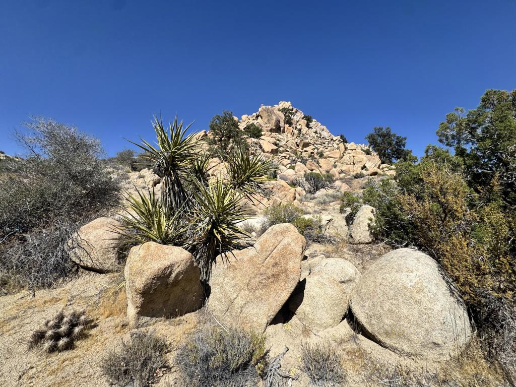5990 Acoma Trail Property Photo 24