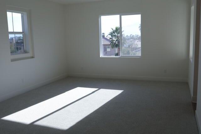 43329 Passagio Lago Way Property Photo 14