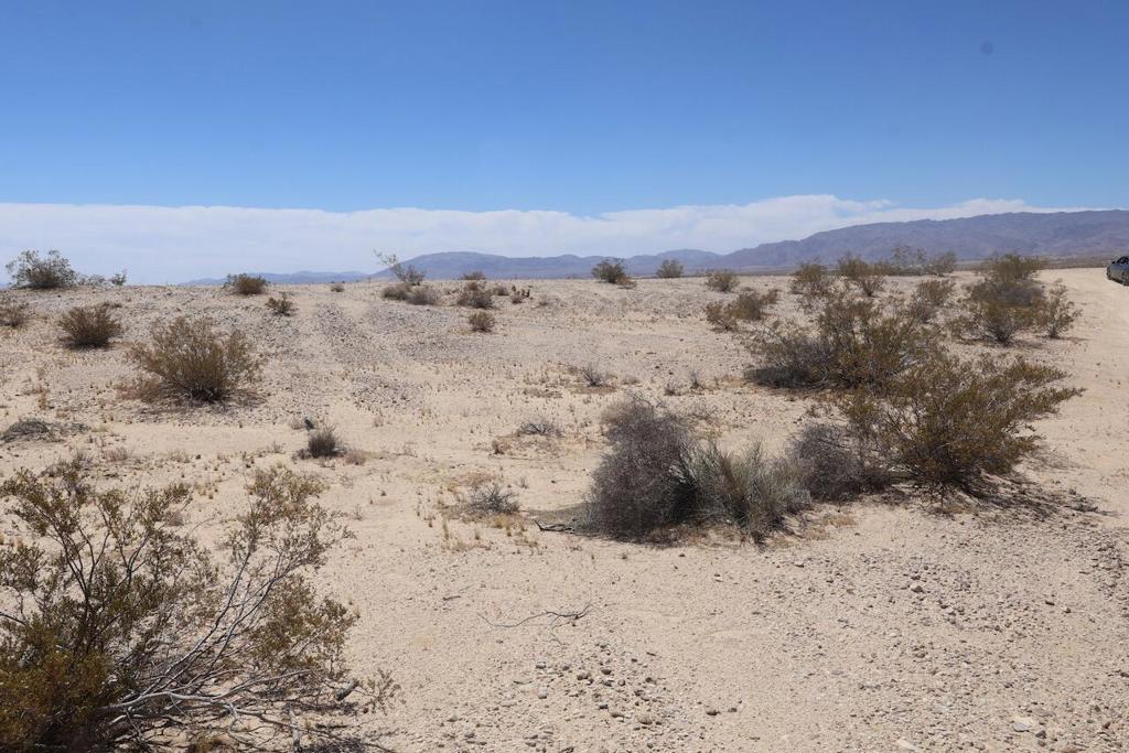 0 Goodie Lane Property Photo 6