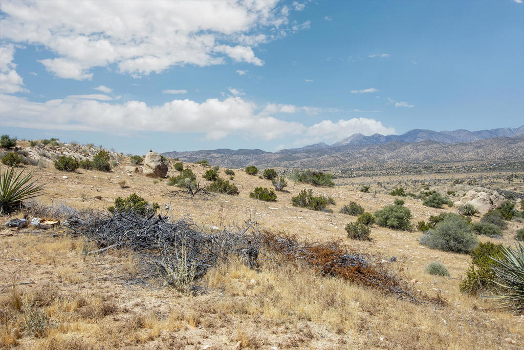 53102 Geronimo Trail Property Photo 5