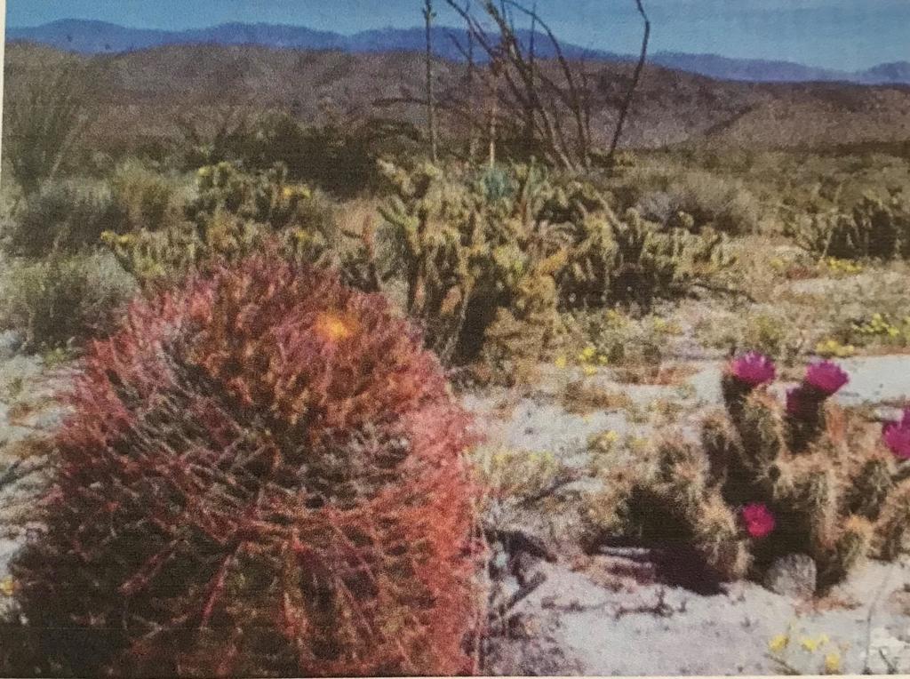 5 Ac Old Aqueduct Road Property Photo 7