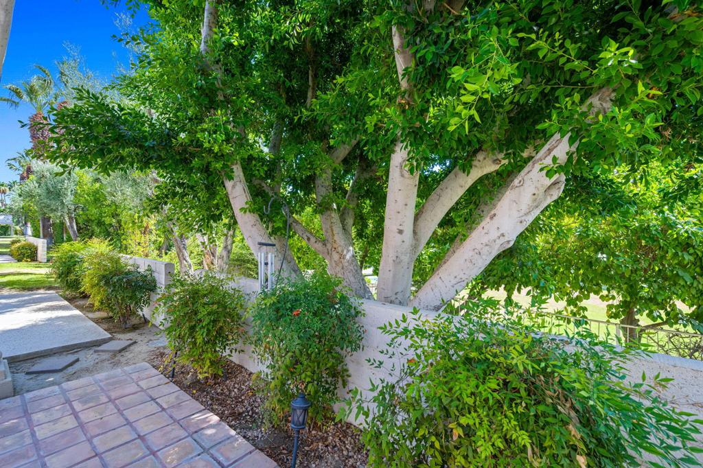130 Desert Falls Drive E Property Photo 29