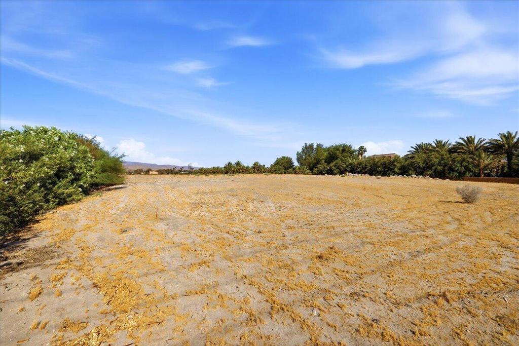 30814 Desert Moon Drive Property Photo 6