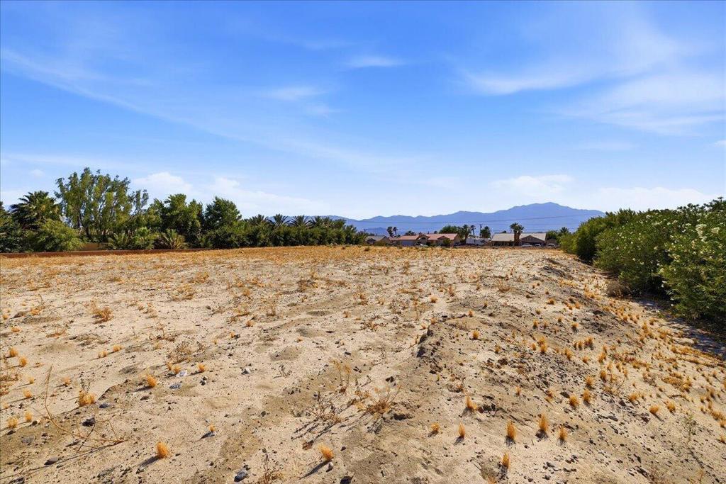 30814 Desert Moon Drive Property Photo 8