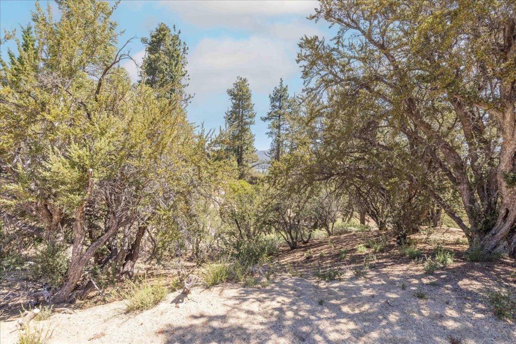 40587 Ironwood Drive Property Photo 8