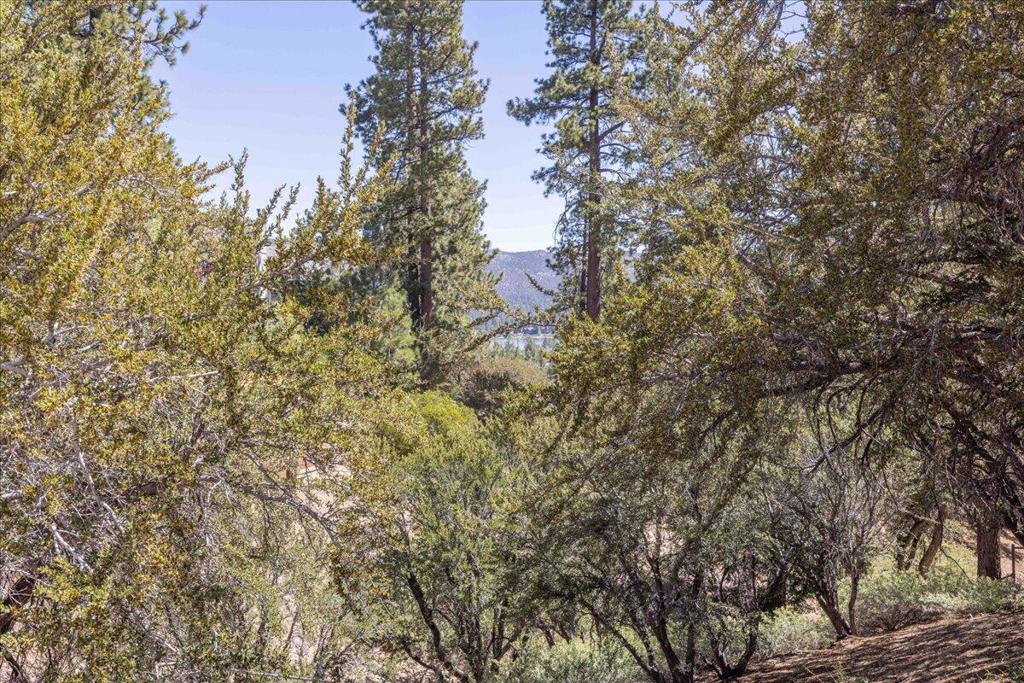 40587 Ironwood Drive Property Photo 9