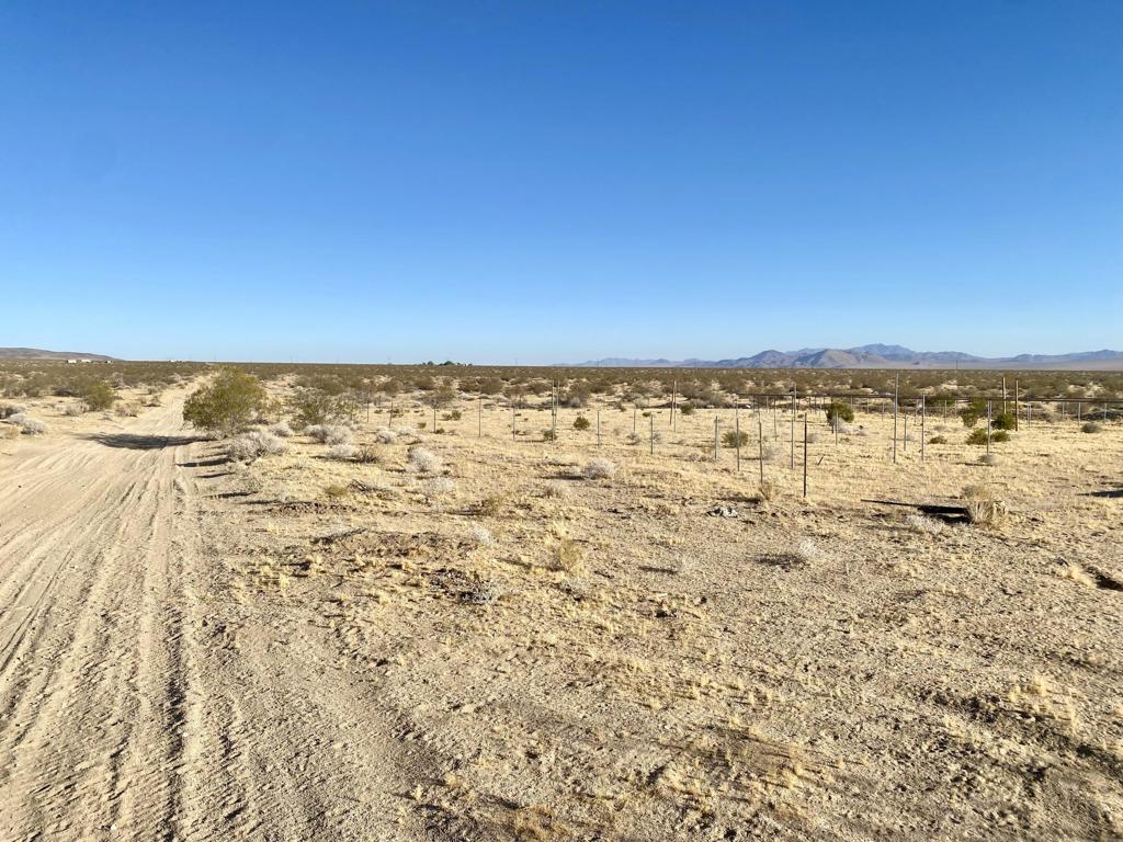 104 Joshua Tree Road Property Photo 1